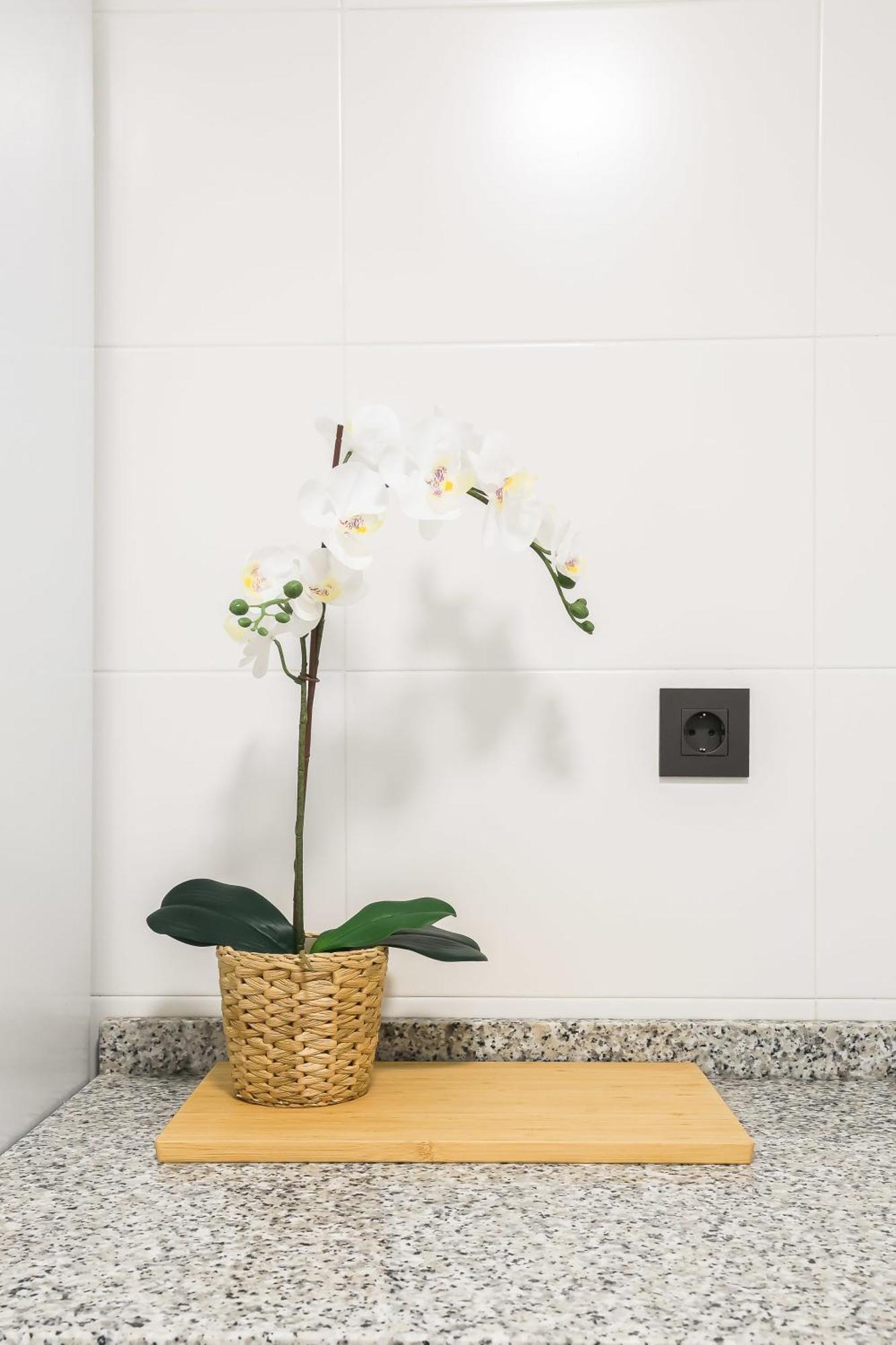 Apartment Palermo Living En Burriana